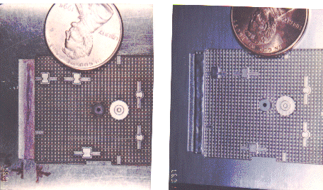 wpe02861.gif (98859 bytes)